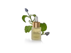 Bakuchiol Natural Booster><noscript><img width=