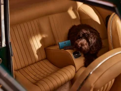 Car Air Freshener><noscript><img width=