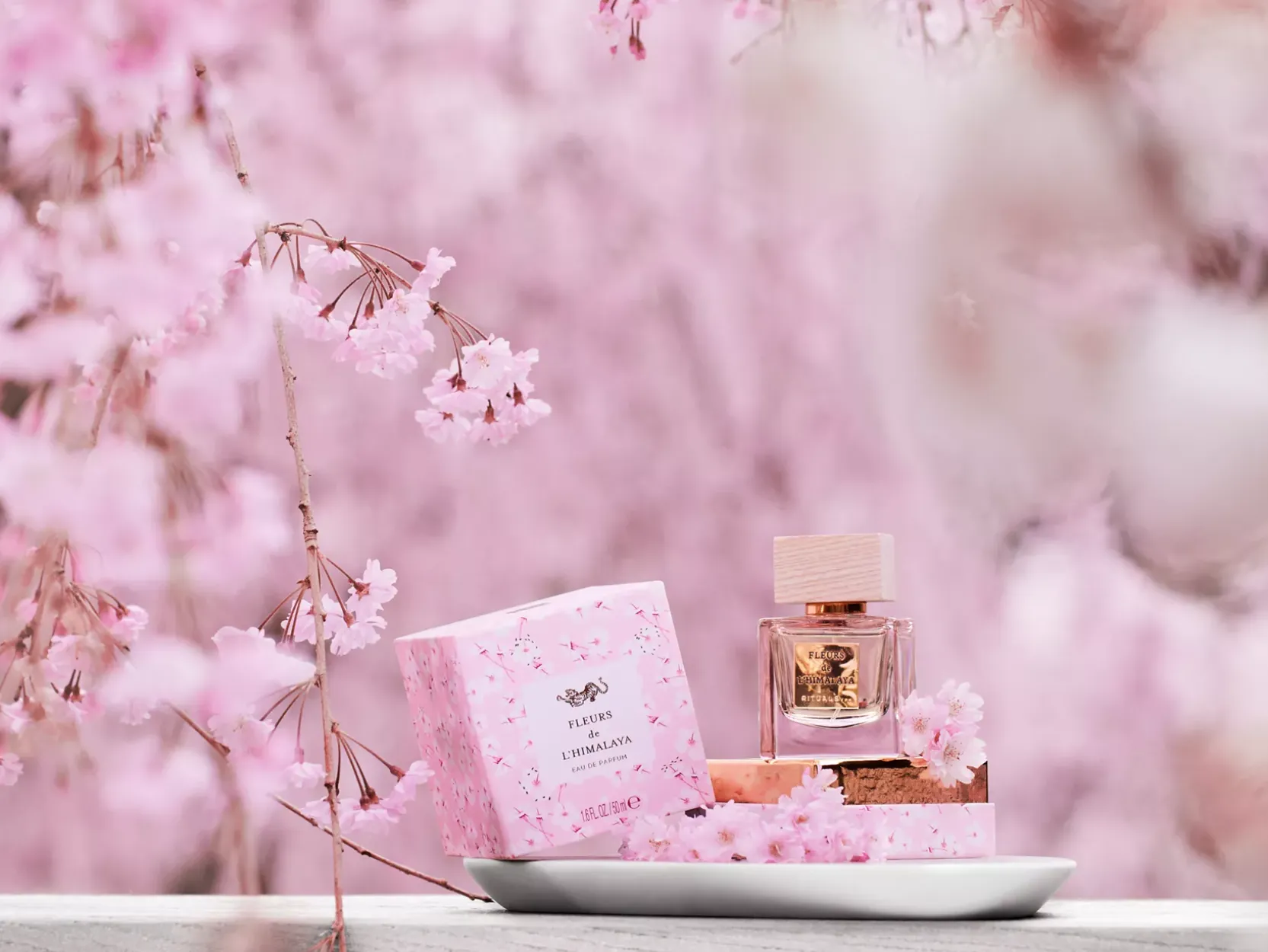 Fleurs de l'Himalaya>Rituals Shop