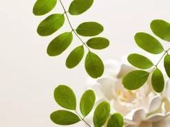 Gentle Cleansing Foam>Rituals Hot