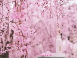 Mini Fragrance Sticks><noscript><img width=