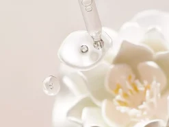Refill Hydrating Day Cream><noscript><img width=