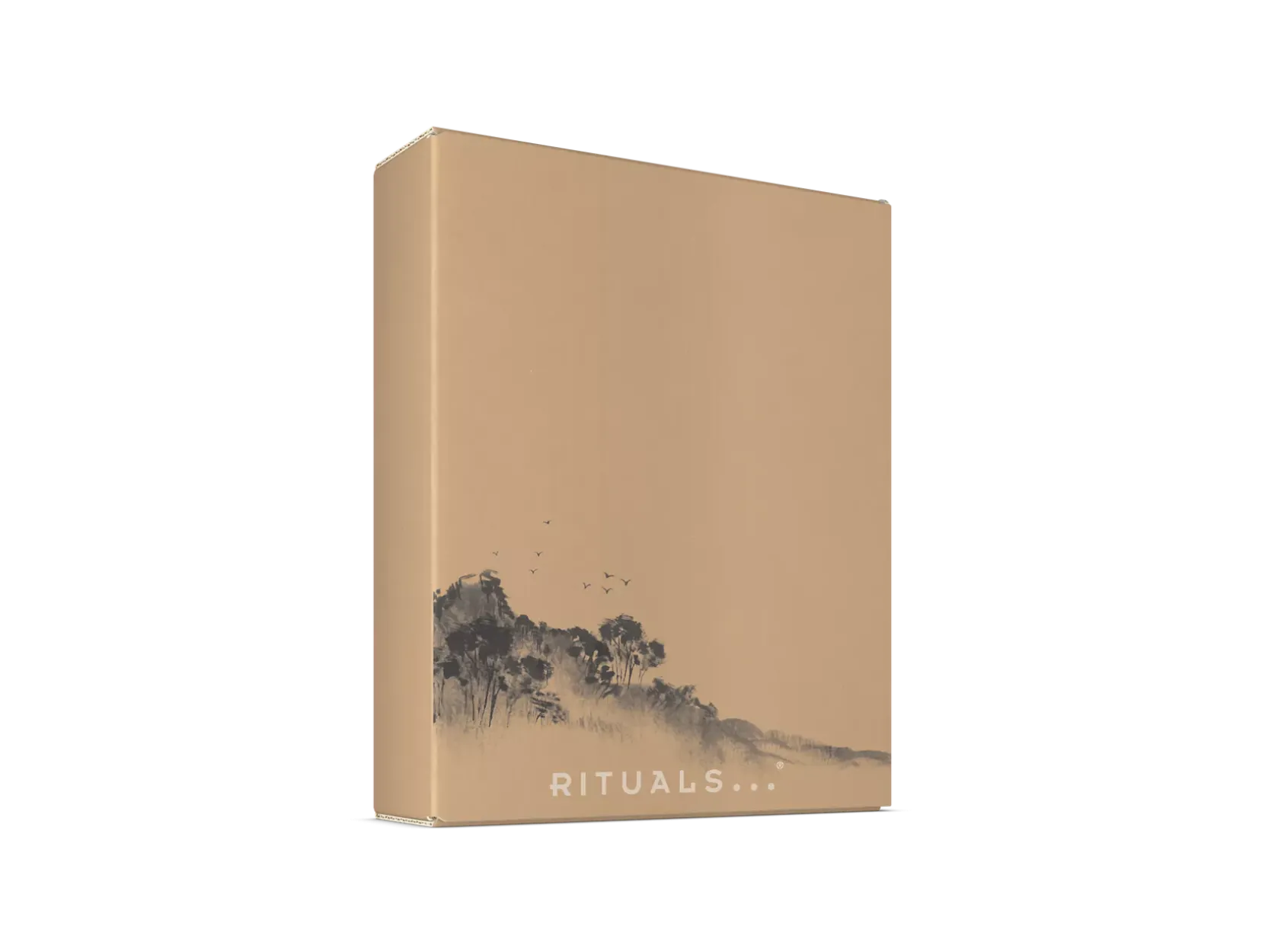 Refill Value Box - Precious Amber>Rituals Sale