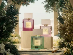 Rêve de Hanami><noscript><img width=