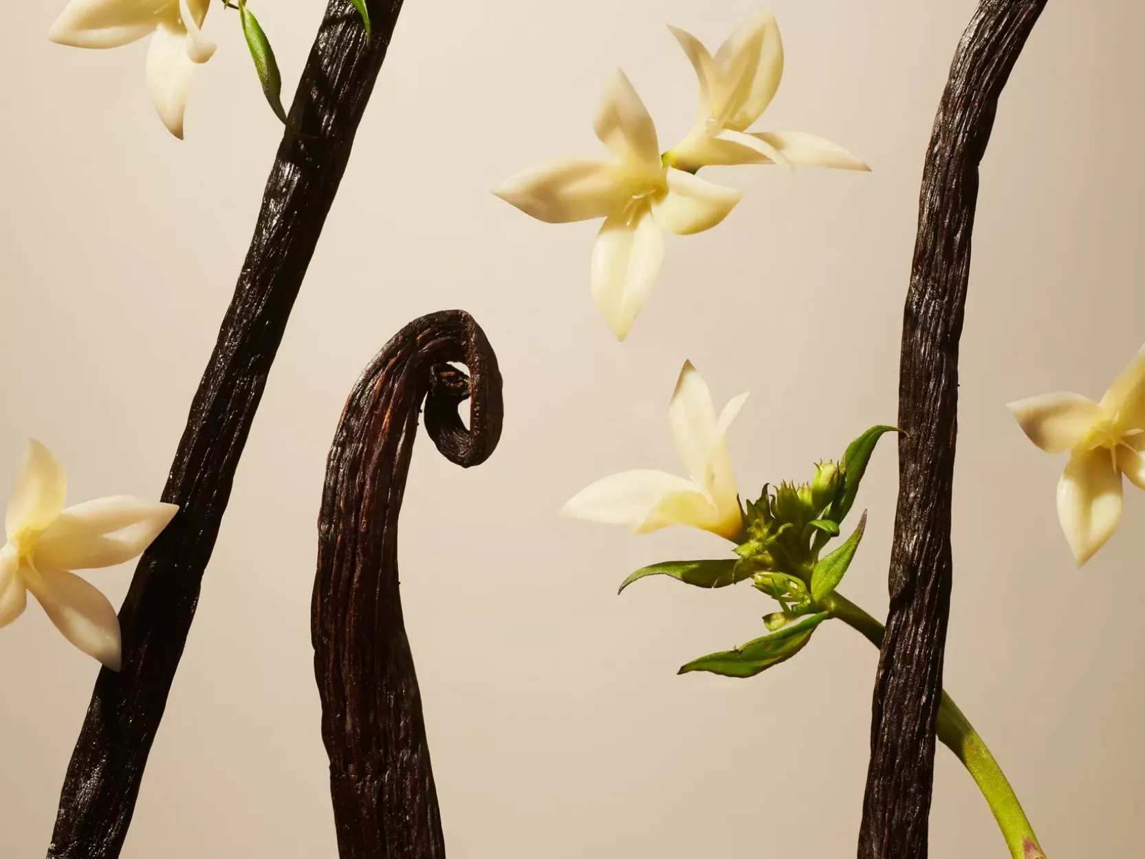 Suede Vanilla Refill Fragrance Sticks>Rituals Cheap