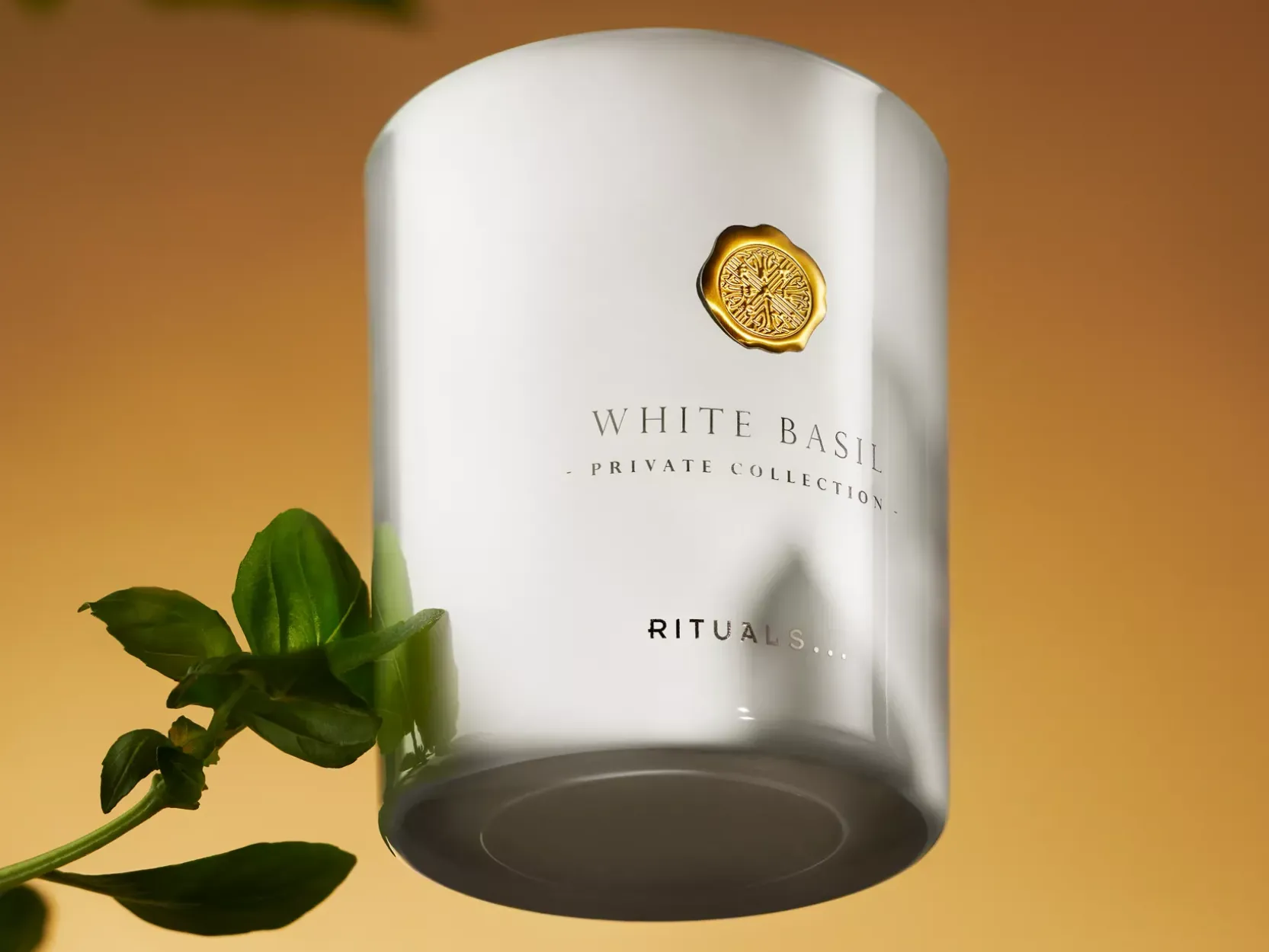 White Basil Scented Candle>Rituals Discount